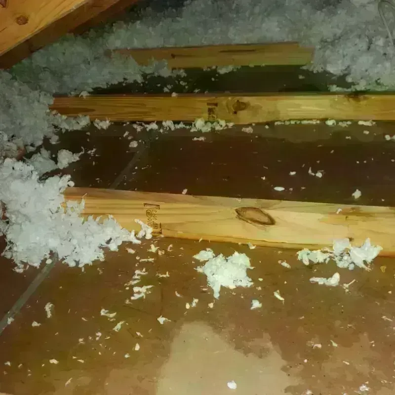 Attic Water Damage in Dock Junction, GA